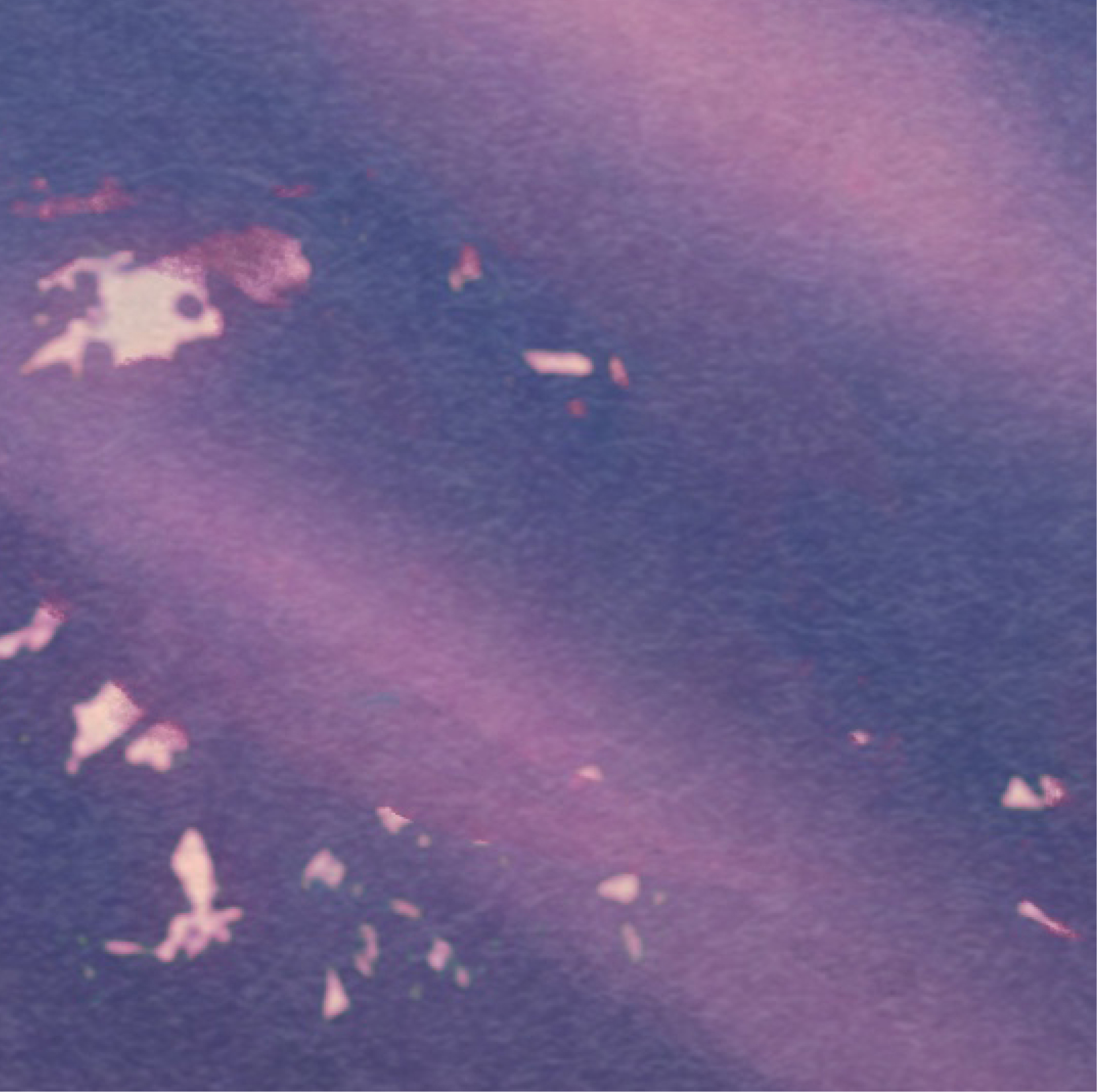 Breakaway Kyle Hammerschmidt