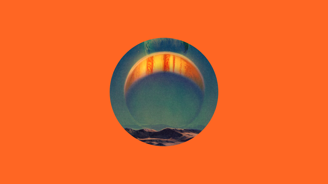 Illustration circle on orange background.