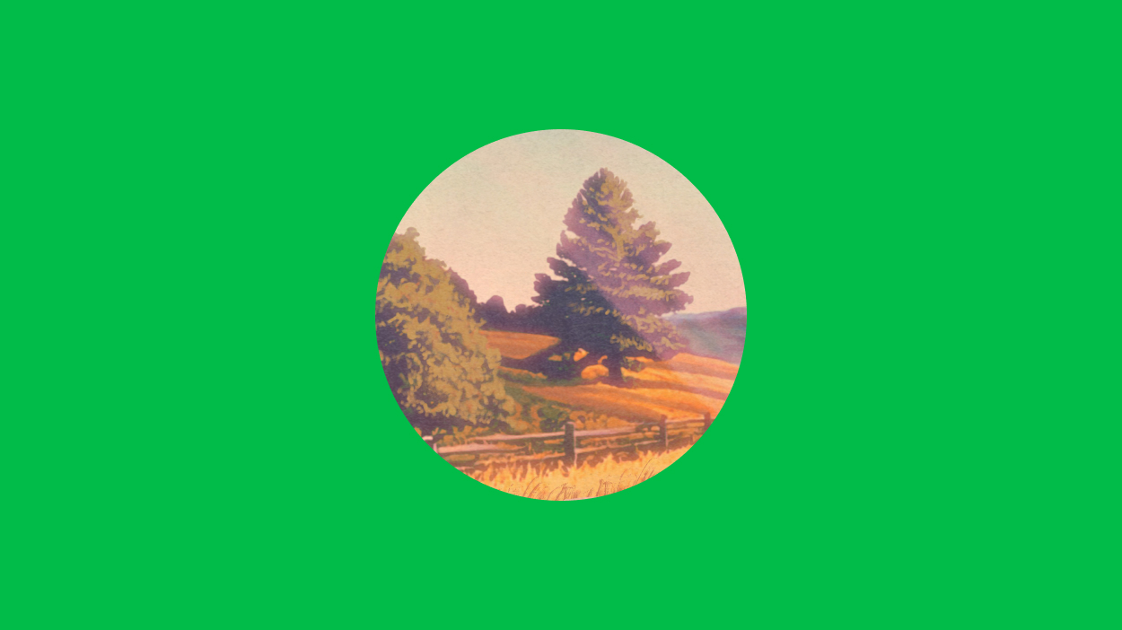 Tree in a field