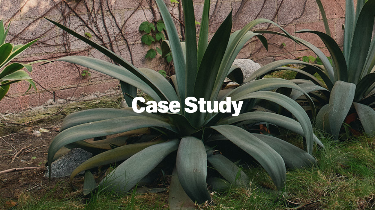 Case study