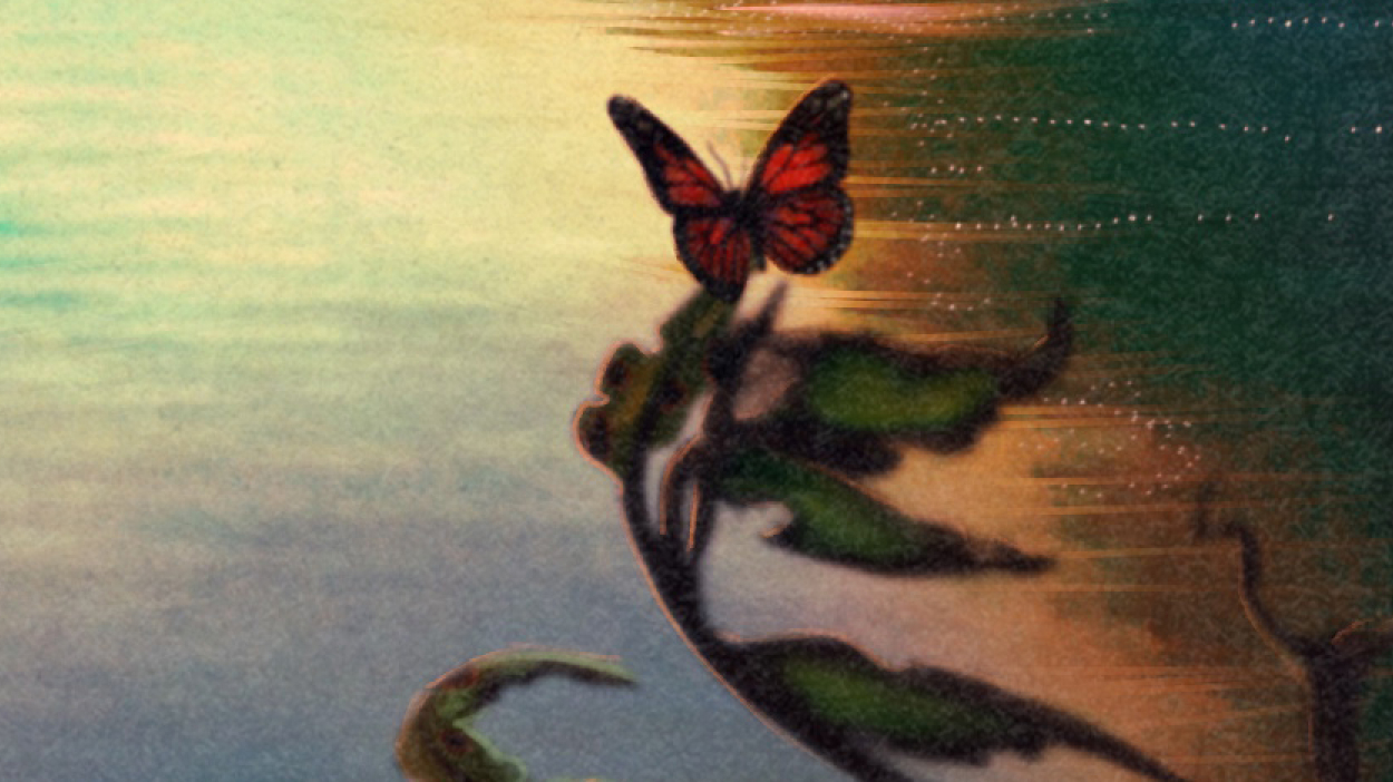Butterfly on a leaf