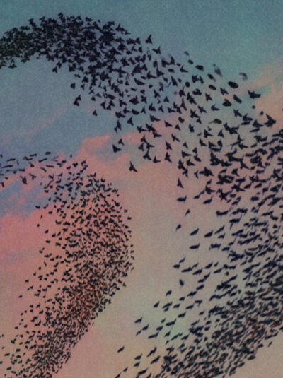 Taking the Leap: The Compelling Opportunity in Secondaries
